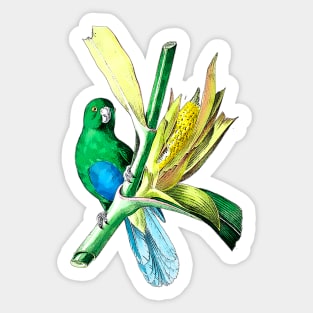 little green parakeet Sticker